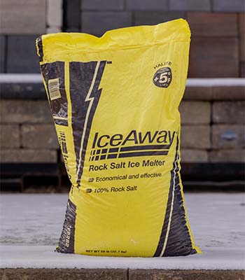 Bag of rock salt