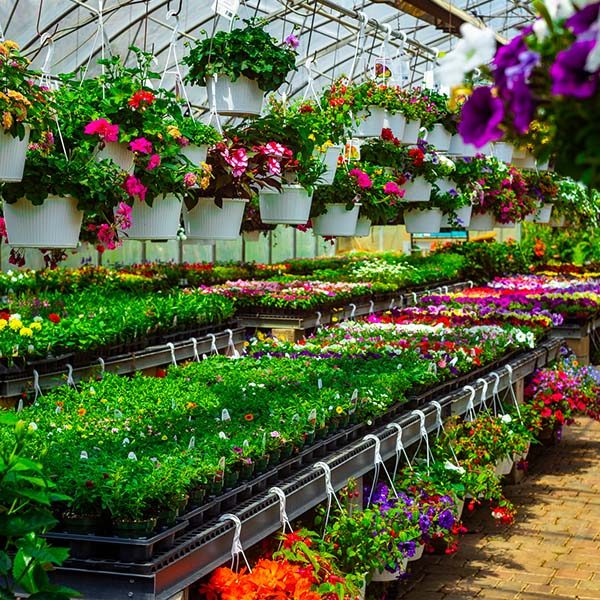 plant-inventory plant-inventory
